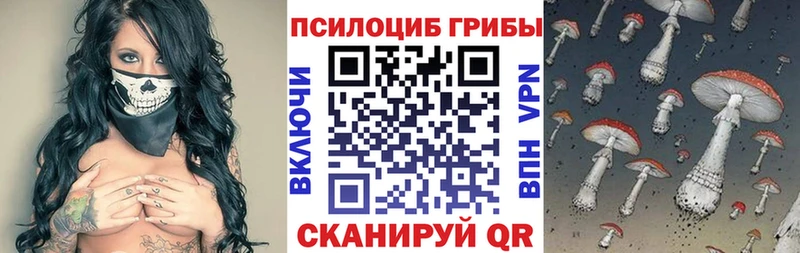 Купить где  Ачхой-Мартан  Галлюциногенные грибы Psilocybe 